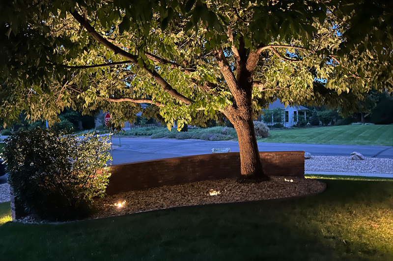 Landscape Lighting